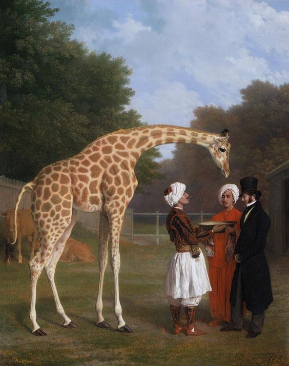 Jacques-Laurent Agasse The Nuian Giraffe (mk25) France oil painting art